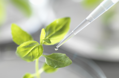 2025年澳门精准正版资料大全